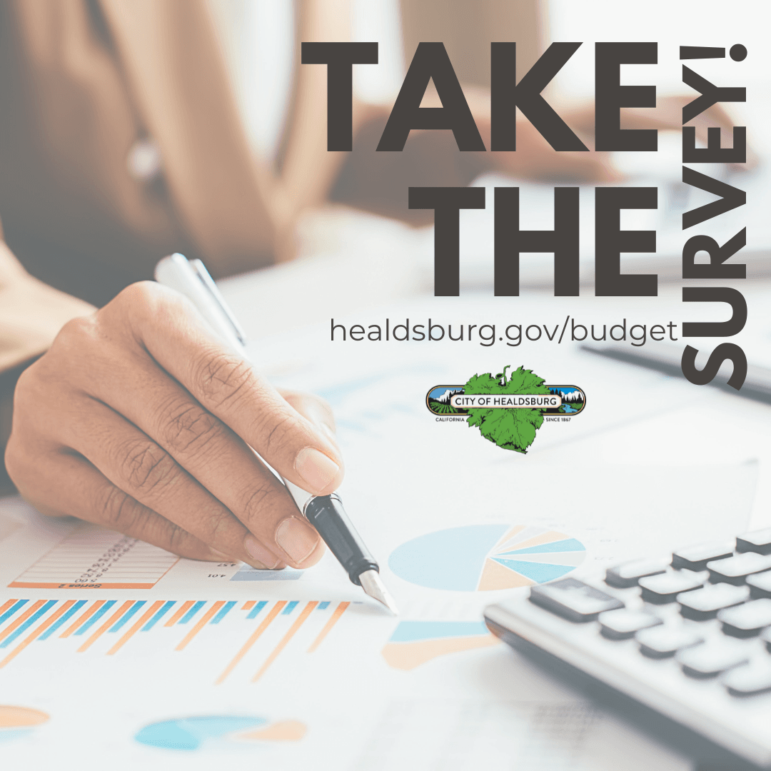 Flyer for budget survey