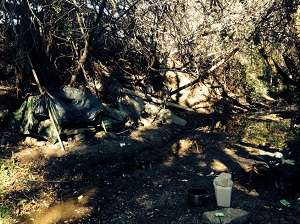 Pollution In the Park