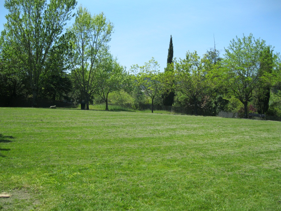 A grass picnic area of a city park